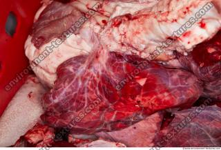 RAW meat pork 0120